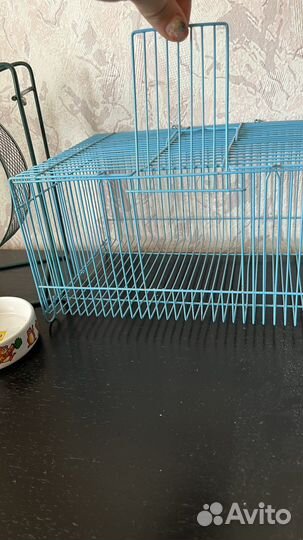 Переноска + колесо для хомяка