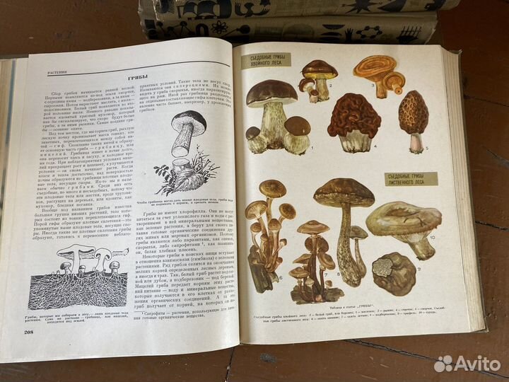 Энциклопедия 12 томов