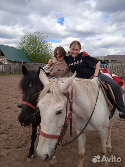 Летний конный лагерь с катанием на лошадях