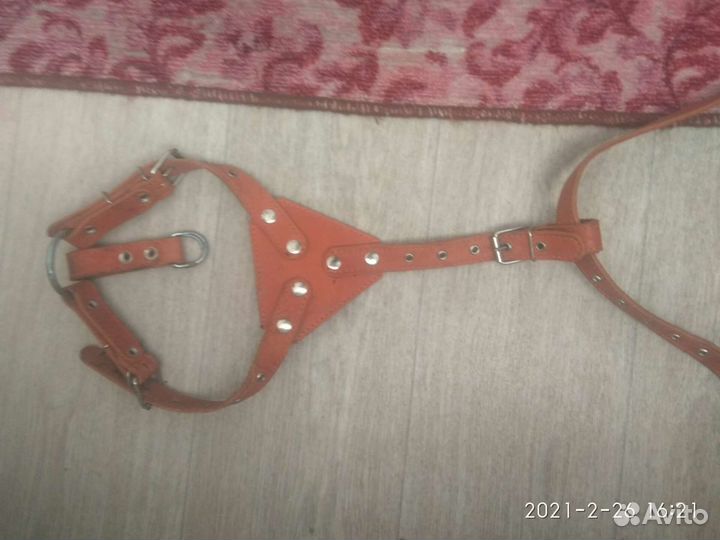 Шлейка для собаки