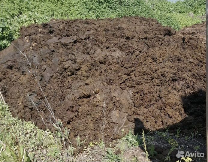 Навоз коровий,конский,Перегной,Грунт,Торф и тп