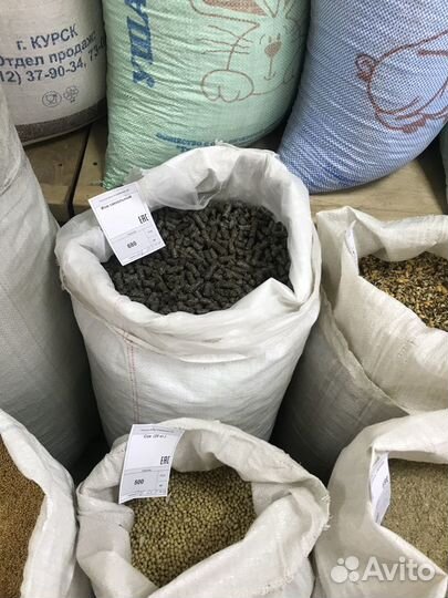 Зерно пшеницы.ячменя.кукурузы.овса