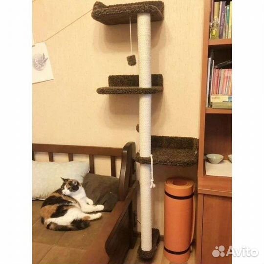 Когтеточка настенная новая