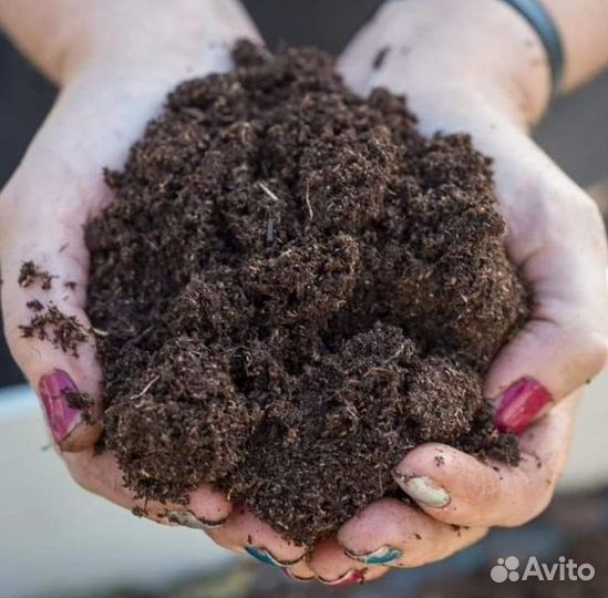 Навоз Плодородная Земля Перегной Доставка