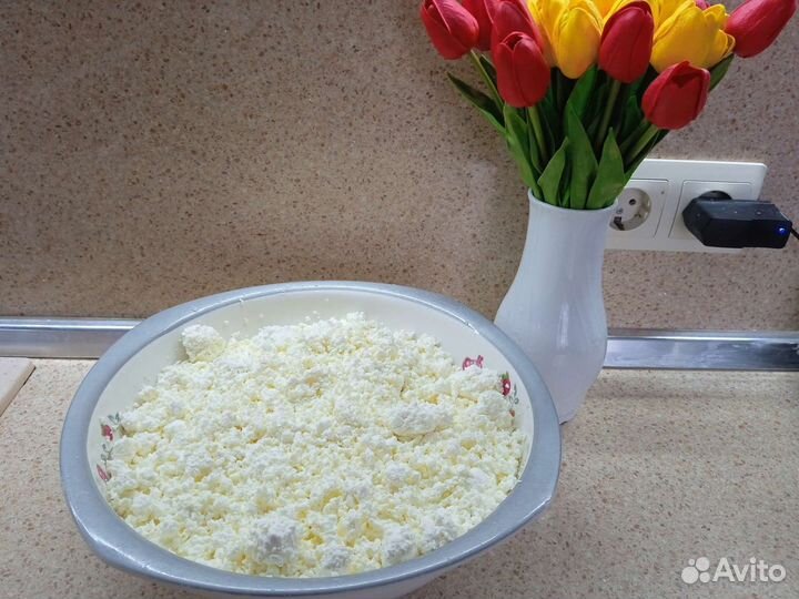 Домашняя молочная продукция