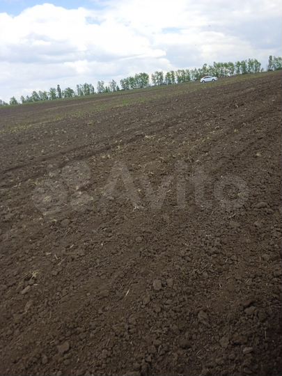 Участок 28 га (СНТ, ДНП)