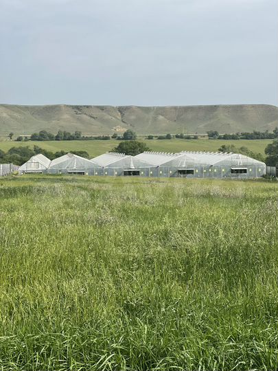 Участок 2 га (СНТ, ДНП)