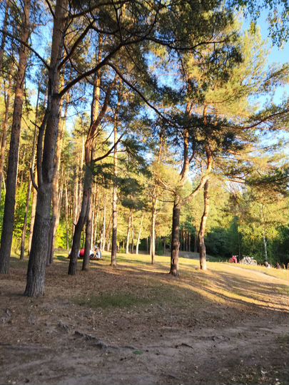 Участок 10,4 сот. (ИЖС)