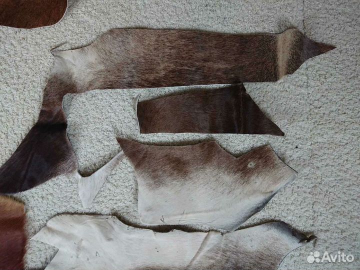 Шкурки крс куски