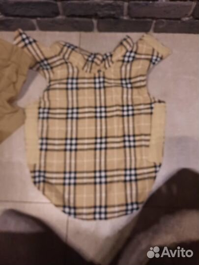 Одежда для собак