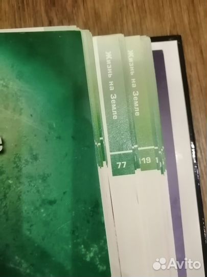 Галилео. Наука опытным путем. Д'Агостини