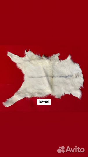 Шкура козы