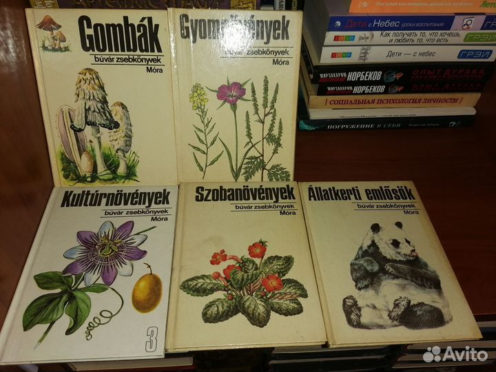 Книги (собаки, птицы, биология)