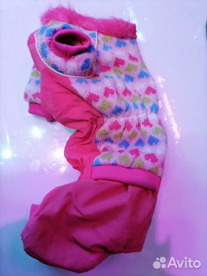 Одежда для маленьких собак