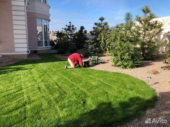 Рулонный газон c доставкой