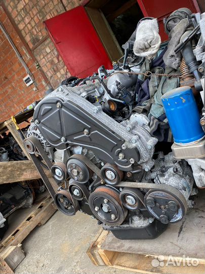 Контрактный двс D4CB starex/sorento