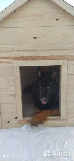 Будка для собаки
