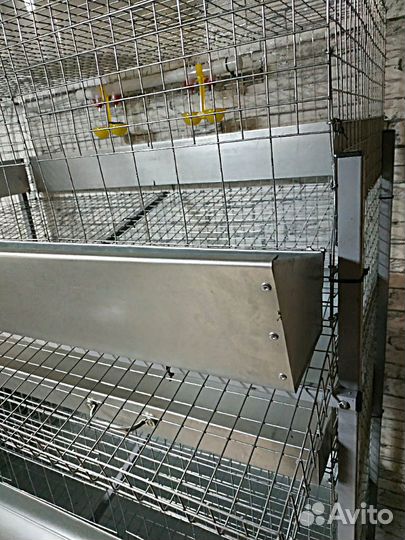 Клетка для кур несушек