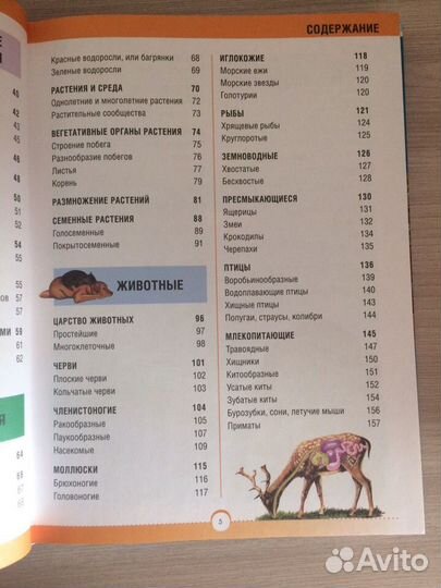 Детские энциклопедии