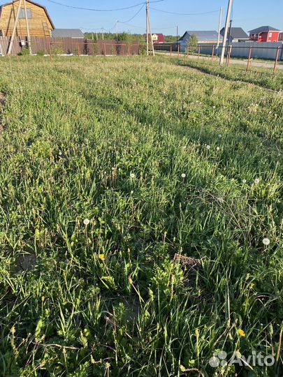 Вспашка земли минитрактором. Выравнивание участка