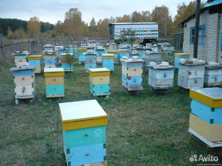 Продам, улья руто с рамками