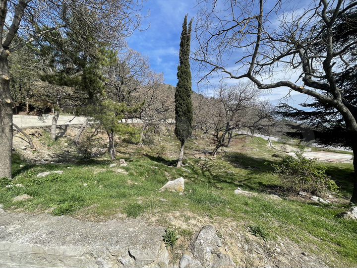 Участок 11,5 сот. (промназначения)