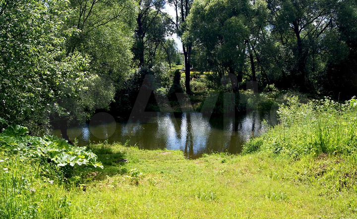 Участок 11,8 сот. (СНТ, ДНП)