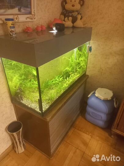 Аквариум 200 литров с тумбой