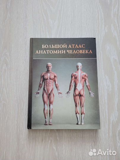 Большой атлас анатомии человека