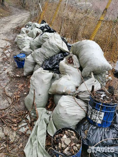 Вывоз Мусора/Хлама/Веток/Демонтаж