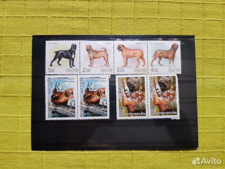 Почтовые марки Россия