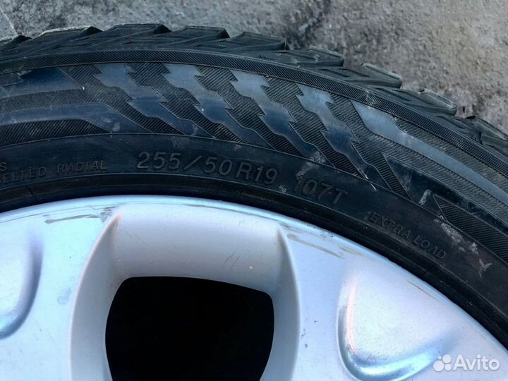 Yokohama Ice Guard IG55 255/50 R19