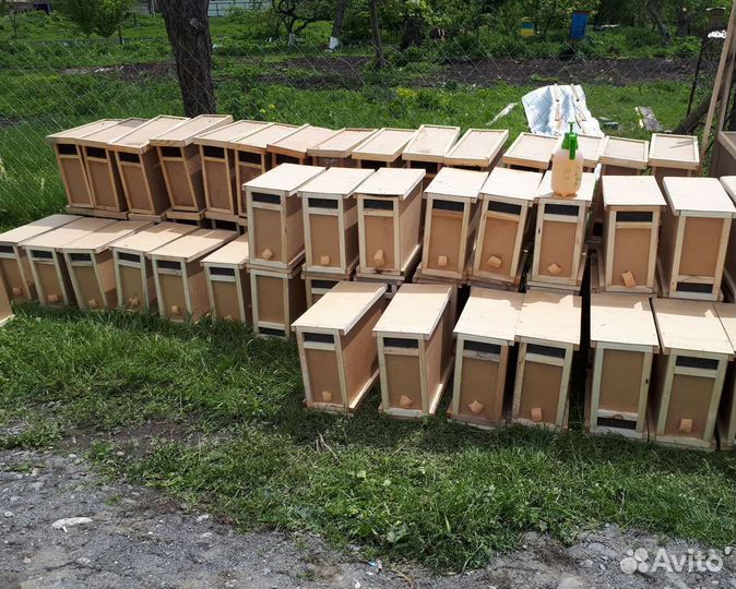 Пчелопакеты с селекционными матками 2023 года