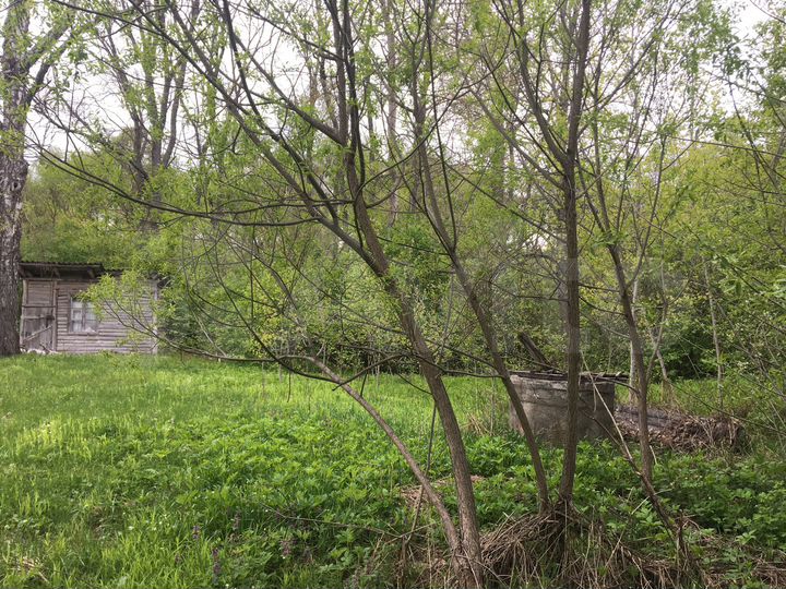 Дом 28 м² на участке 14 сот.