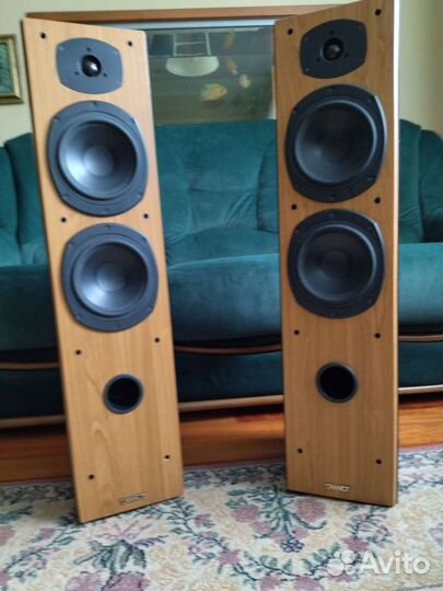 Профессиональная акустическая система