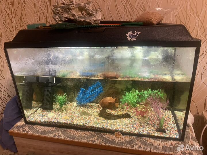 Аквариум