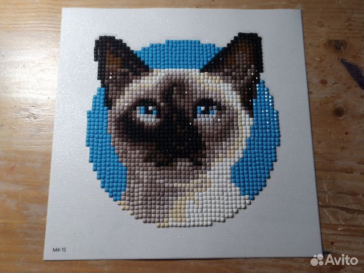 Картинки котиков разных пород