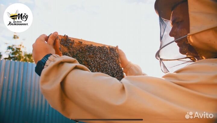 Мёд натуральный. Собственная пасека