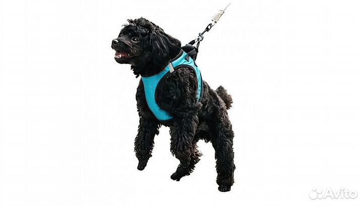 Ошейник для собак Jordan Judy PE073 размер М