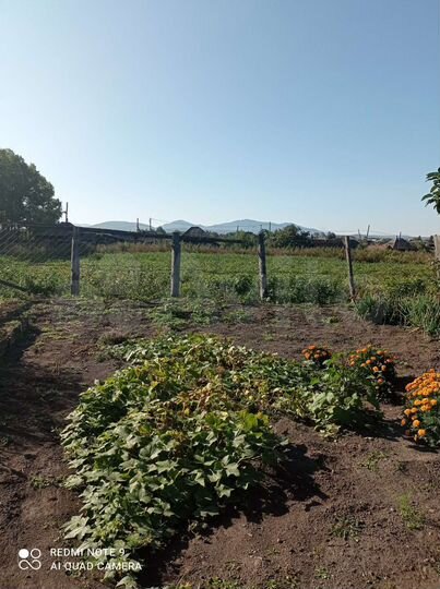 Дом 80 м² на участке 40 сот.