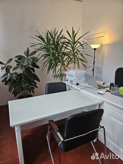 Офисная мебель