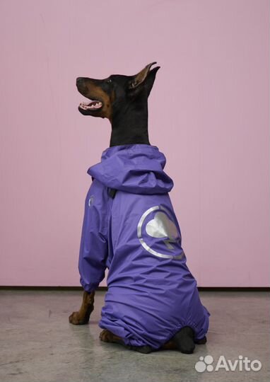 Одежда для собак Дождевик. Meo.pet