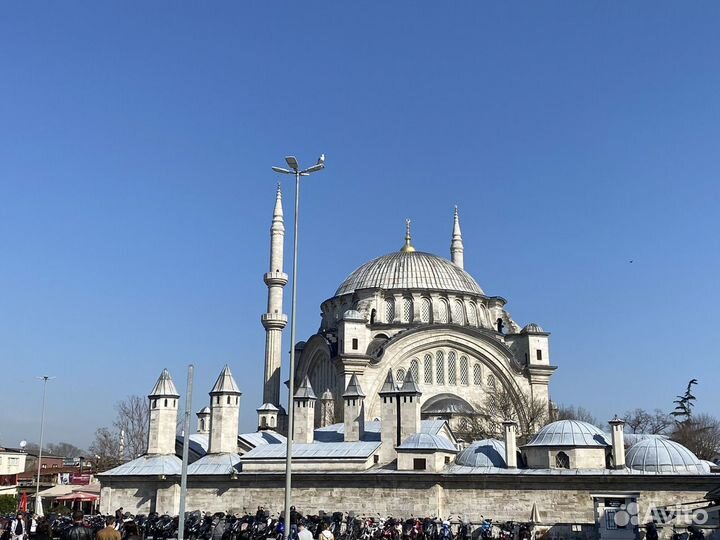 Заказ микроавтобуса с водителем