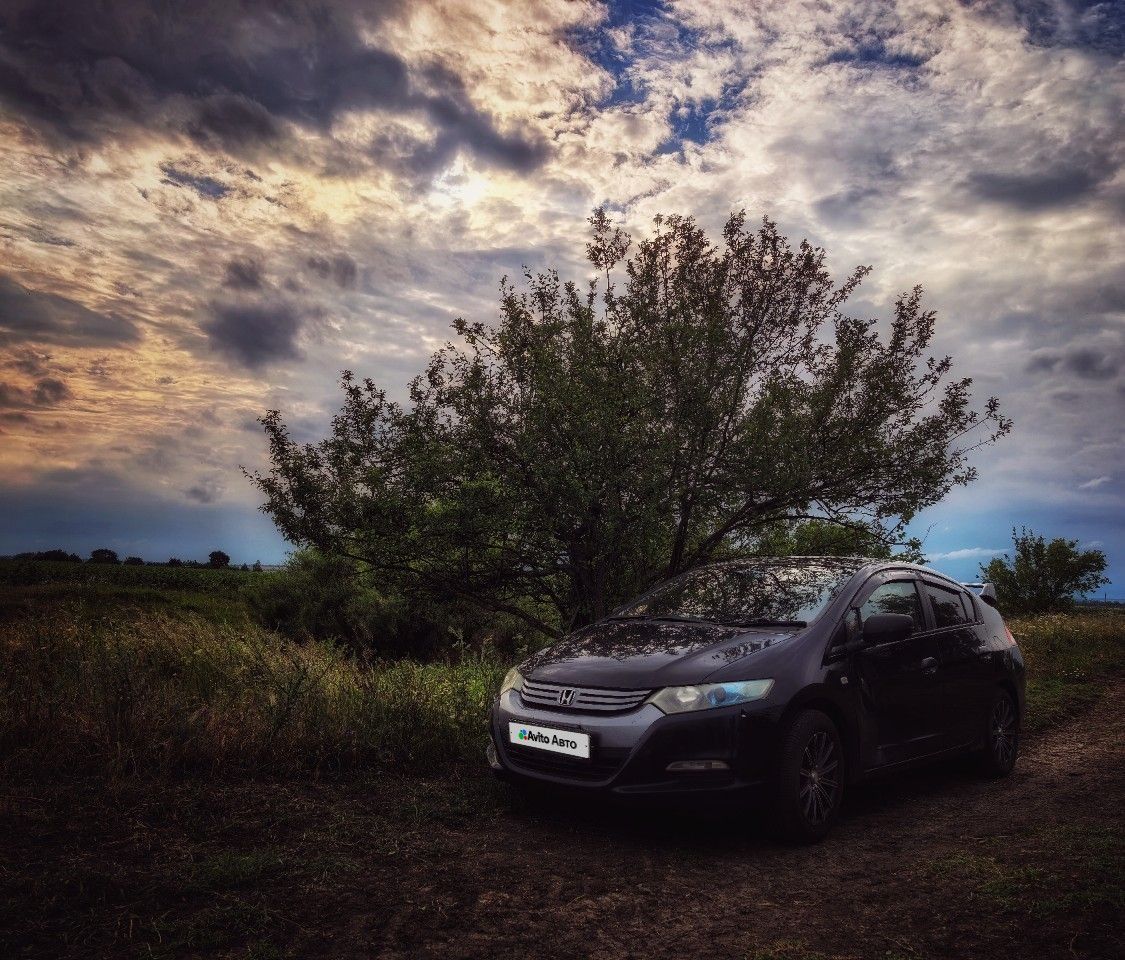 Honda Insight: фото из отзыва