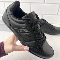 Новые мужские кеды Lacoste