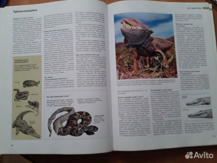 Энциклопедия