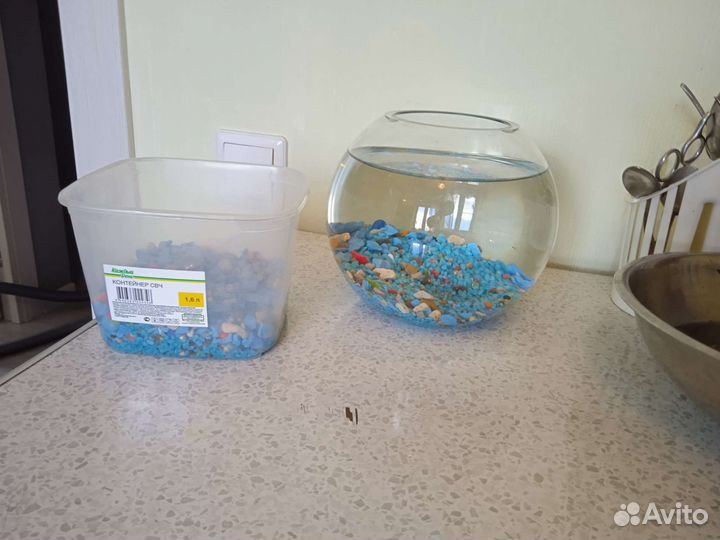 Аквариум для петушка