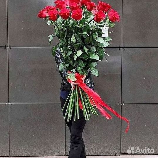 Розы гиганты 140 150 160 170 180 200