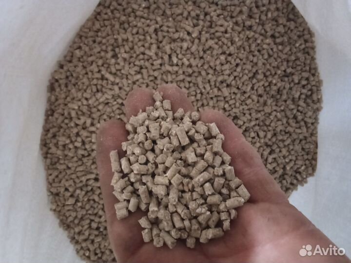 Щедрая несушка