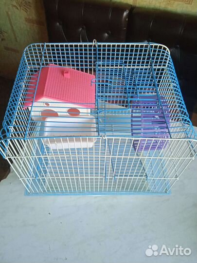 Клетка для грызунов. Аквариум для рыбок